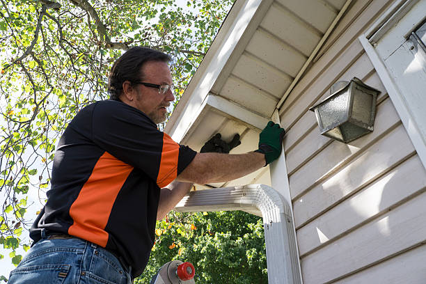 Best Hoarding Cleanup  in Rogersville, AL
